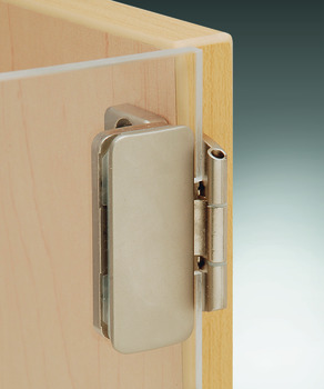 Glass door hinge, for all-glass structures, overlay