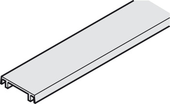 Clip-on panel, For mounting rail and double running track, 25 x 6 mm (W x H)