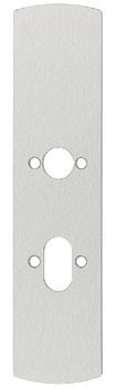 Cover plate, for covering drill holes